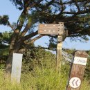 죽산 두현리 석조삼존불상 | 초보산꾼 답사기 : ​ 죽산리.두현리(안성시 삼죽면) - 한남정맥을 마치며 자투리 시간을 이용하여..