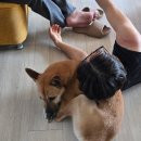 폴라스튜디오송탄미군부대점 | 부모님과 오산 당일치기｜미군부대 쇼핑·송탄부대찌개 최네집부대찌개·카페CF·인생네컷