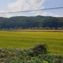 화양빌리지펜션 이미지