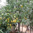 가야농원 이미지