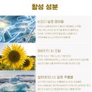 슈퍼셀러No.1