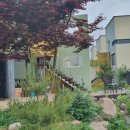 달빛추억펜션 이미지