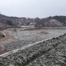 오번리 농장 이미지