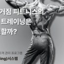 팀타이거짐1 이미지
