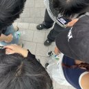 (주)비긴어스 | 밴드 공연에 빠져버린 누구(=나) 🎸 | LAST CHANCE TO COME BACK HOME 검정치마 | 2025 뷰티풀...