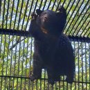 웅담2농장 이미지