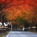 나그네일 Daum카페