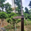 단테하우스 이미지