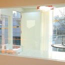 서울애견 미용실 이미지