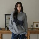 퍼피홀릭 이미지