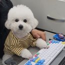 복자통신 - 고성군 거탄진로 127 | 복자통신