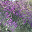 비아동 행정복지센터 이미지