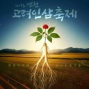 고려인삼 티스토리