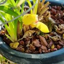 남순천의원 이미지