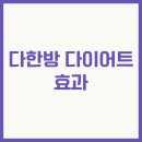 신장농장 | 다한방 다이어트 효과 한방으로 건강하게 살 빼는 법