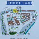 치앙마이 여행 징짜이 마켓 후기 주말 쇼핑템 굿굿즈 가방 추천