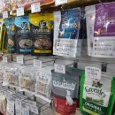 제로펫 매탄점 이미지