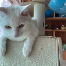 (주)미우랜드 이미지