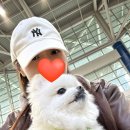 석촌온누리약국 | 월간 차곡차곡 - 26년 3월호