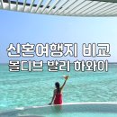비고리조트 16 | 신혼여행지 추천 발리 몰디브 하와이 신혼여행 경비 일정 비교 정리