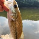 동항소류지 이미지