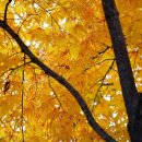 복이오행정사 이미지