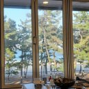 신돌고래 이미지