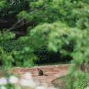 공원로-1 이미지