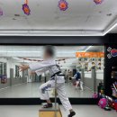 위올태권도 | [공지] 위올태권도 교육 철학, 커리큘럼