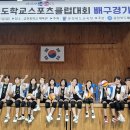 충주 충주중앙탑초 충북일보
