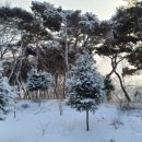 군무 2022-1 이미지