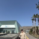 제주 아쿠아플라넷 후기 잉글리시에그 6세 영어놀이 발화