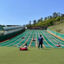 안성시사계절썰매장 이미지