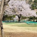 정상파크장 이미지