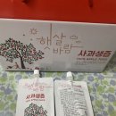 햇살사과