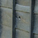 정선초교가수분교 이미지