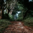 송정한의원 이미지