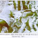노아 이미지