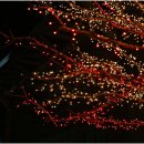 벽산빌딩~우리은행 이미지