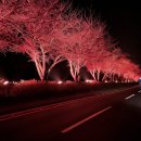 메디칼밸리 이미지