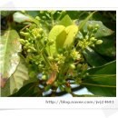 남해-299 이미지