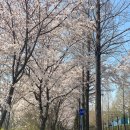 더벤티창원안민점