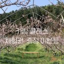 [카빙 중급]탐나는 우드카빙 | 내 생에 첫 펀딩 - 와디즈 말다리소반