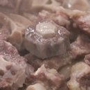 꼬리한마리