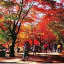 종가집전골 이미지