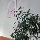 리베르공인중개사사무소 이미지