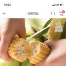 초당옥수수 프리미엄 10개 11900원 이미지