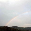 무지개독 이미지