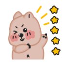 펫소울메이트 이미지