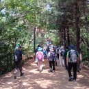 매봉산2 이미지